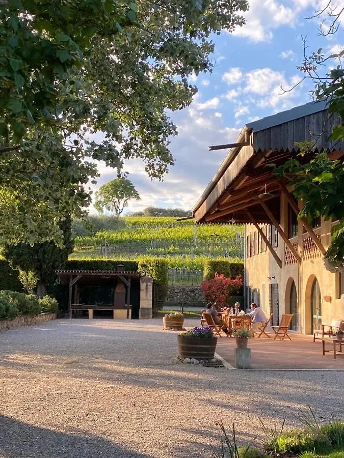 Domus Cariana Villa San Pietro in Cariano Lantgård