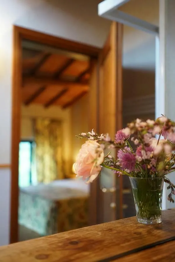 Domus Cariana Villa San Pietro in Cariano Farm stay