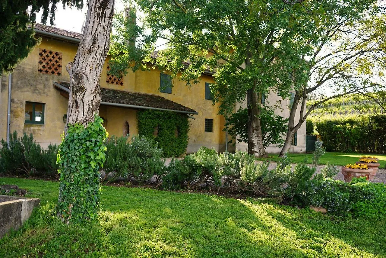 Domus Cariana Villa San Pietro in Cariano Farm stay