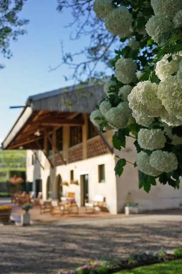 Domus Cariana Villa San Pietro in Cariano Farm stay
